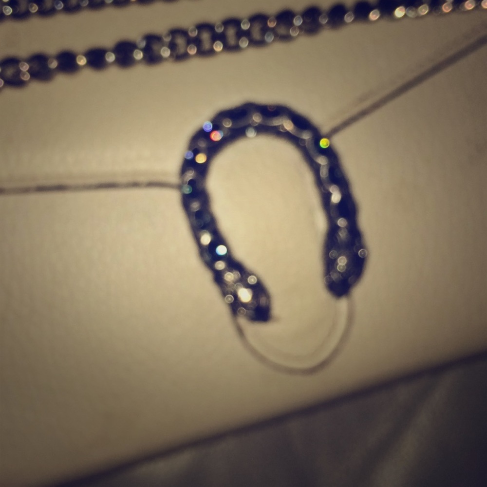 Black Diamond Gucci Purse.